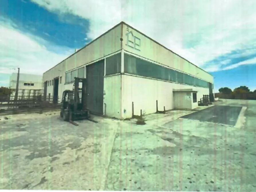 Immagine 4 di Capannone industriale in vendita  in Contrada Sterparo a Orsogna