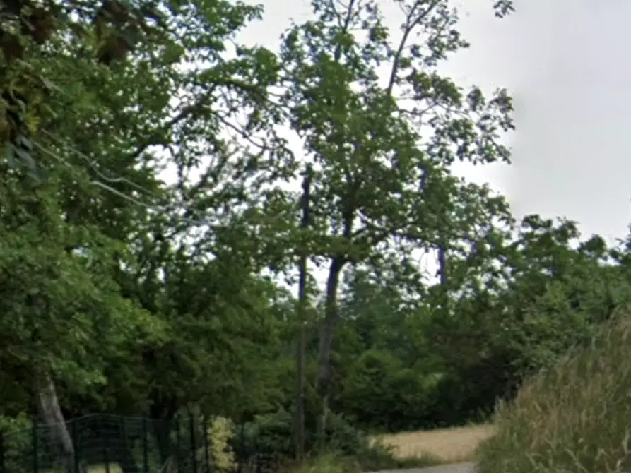 Immagine 7 di Villa in vendita  in Via dell'Olmo  a Pino Torinese