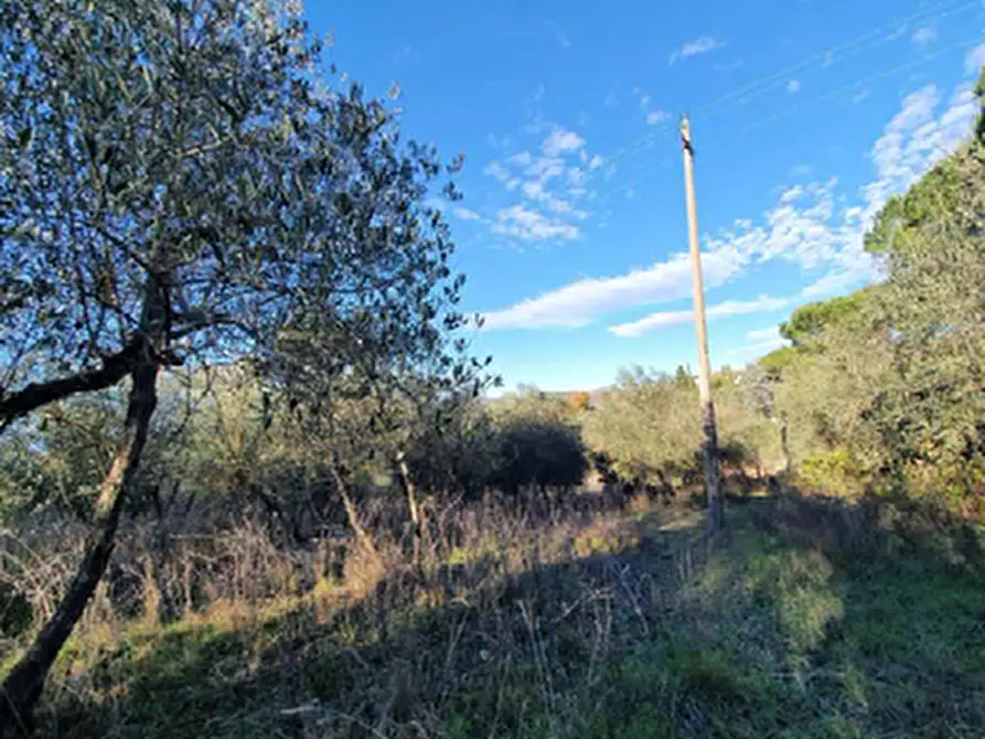 Immagine 2 di Appartamento in vendita  in Via Varnalese a Bagno A Ripoli
