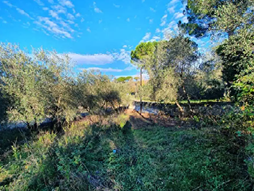 Immagine 12 di Appartamento in vendita  in Via Varnalese a Bagno A Ripoli