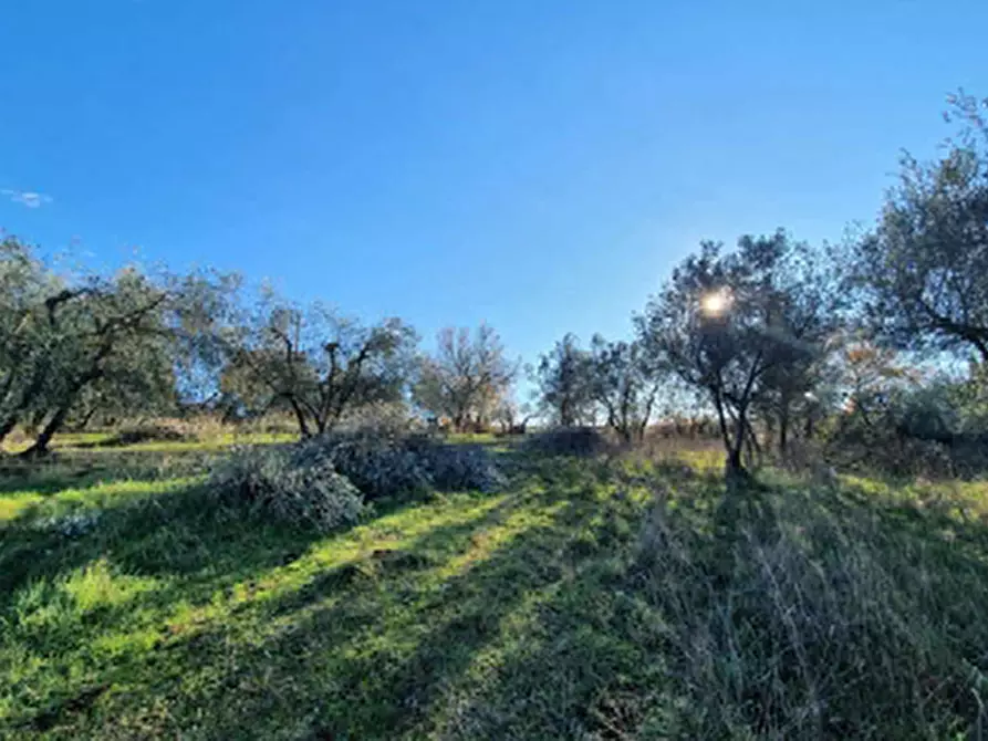 Immagine 3 di Appartamento in vendita  in Via Varnalese a Bagno A Ripoli