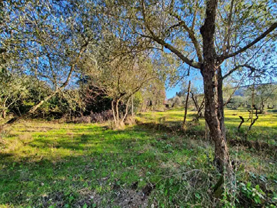 Immagine 30 di Appartamento in vendita  in Via Varnalese a Bagno A Ripoli