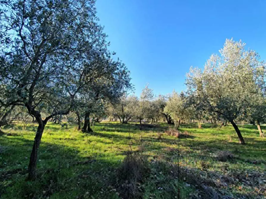 Immagine 40 di Appartamento in vendita  in Via Varnalese a Bagno A Ripoli