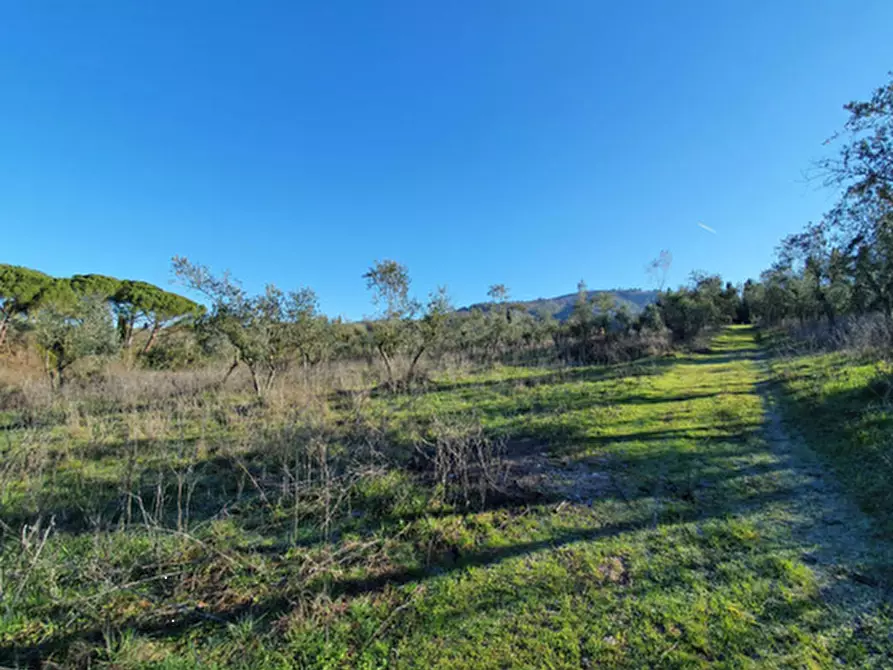 Immagine 41 di Appartamento in vendita  in Via Varnalese a Bagno A Ripoli