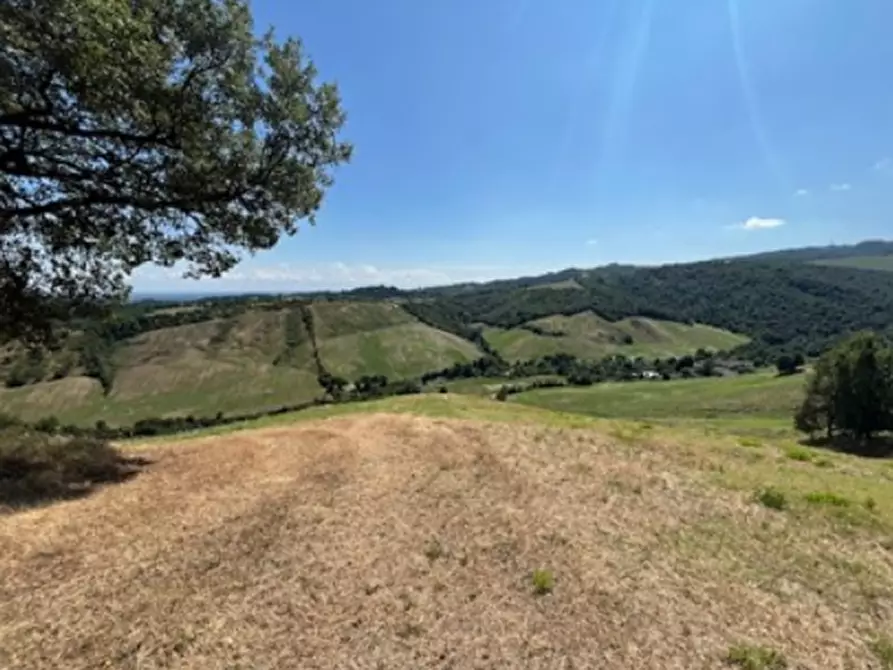 Immagine 1 di Terreno agricolo in vendita  in Via Vendina a Albinea