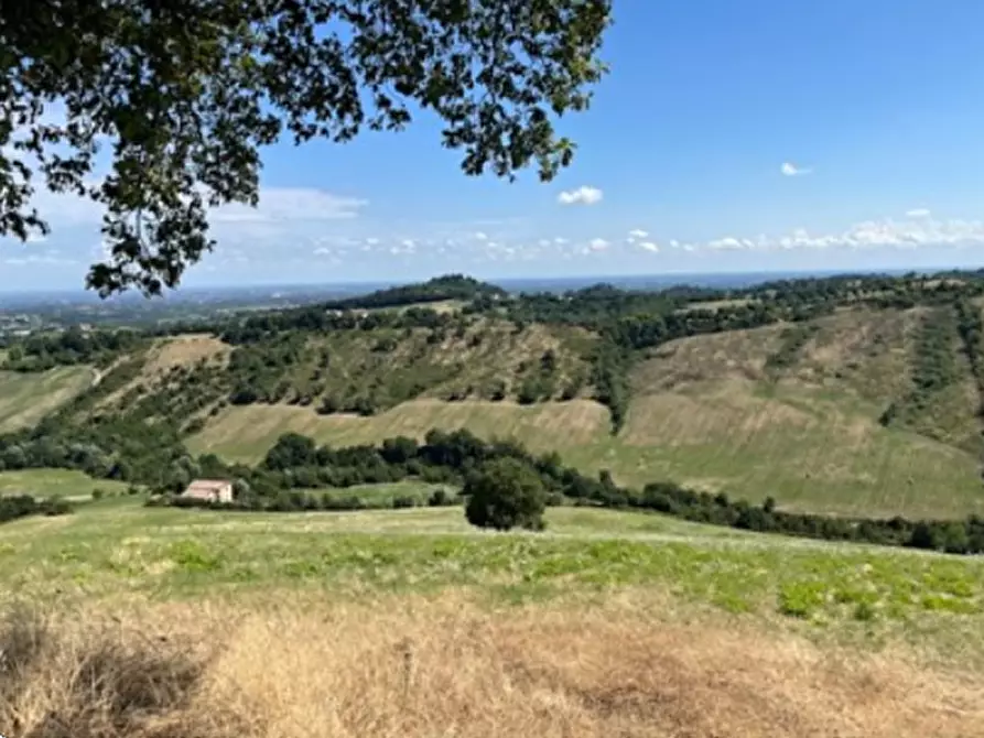 Immagine 2 di Terreno agricolo in vendita  in Via Vendina a Albinea