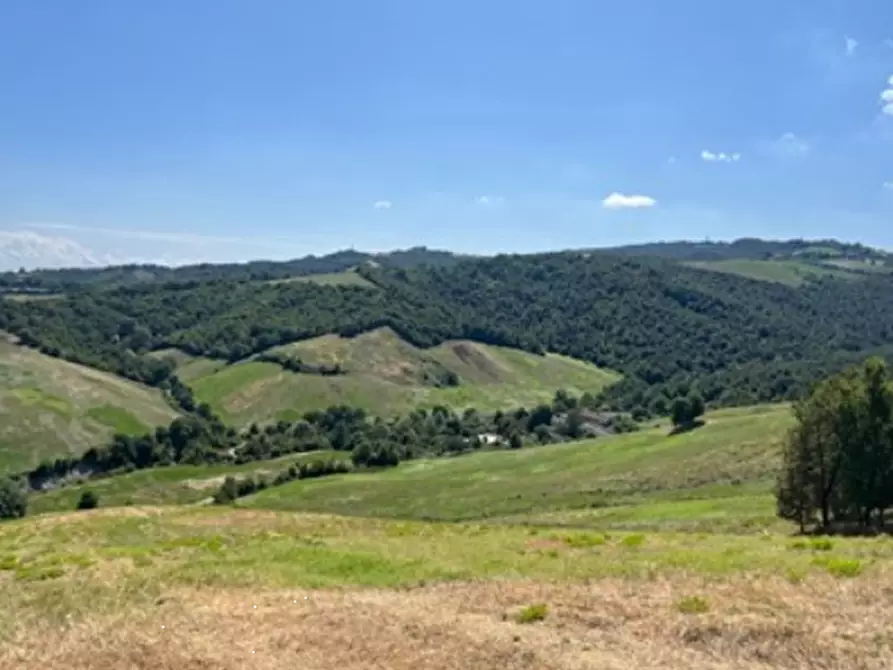 Immagine 3 di Terreno agricolo in vendita  in Via Vendina a Albinea