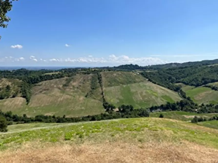 Immagine 4 di Terreno agricolo in vendita  in Via Vendina a Albinea
