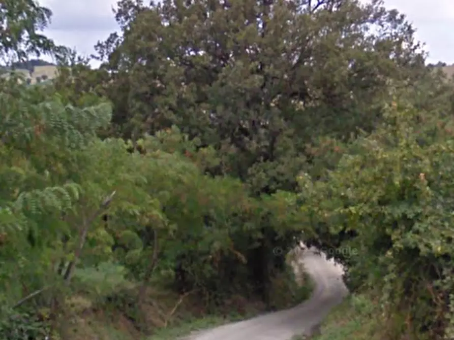 Immagine 5 di Terreno agricolo in vendita  in Via Vendina a Albinea