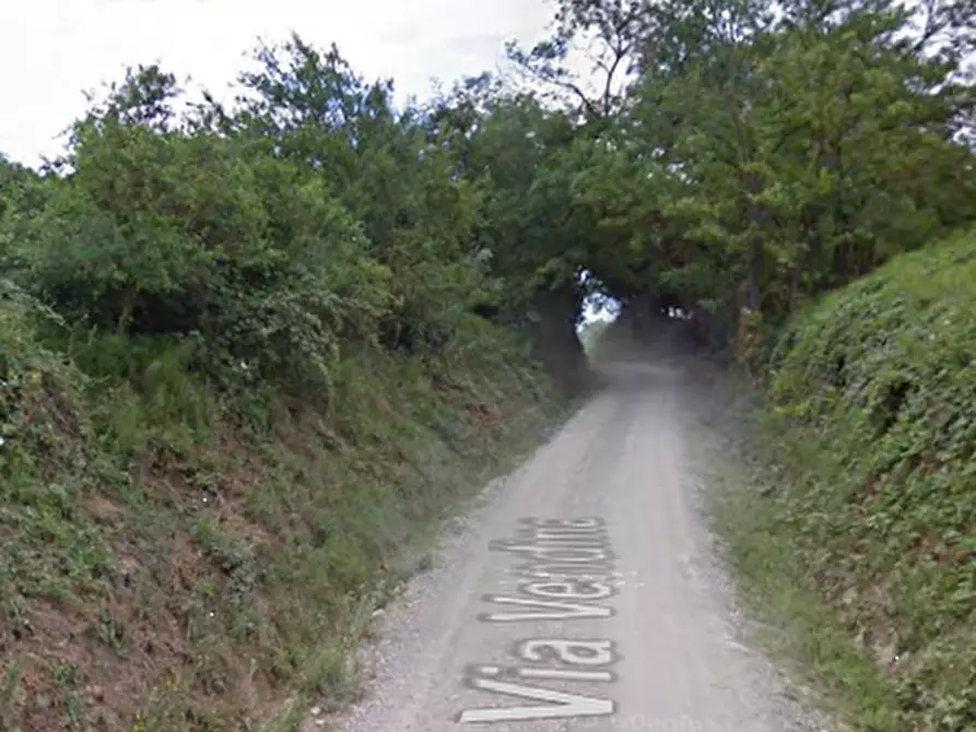 Immagine 6 di Terreno agricolo in vendita  in Via Vendina a Albinea