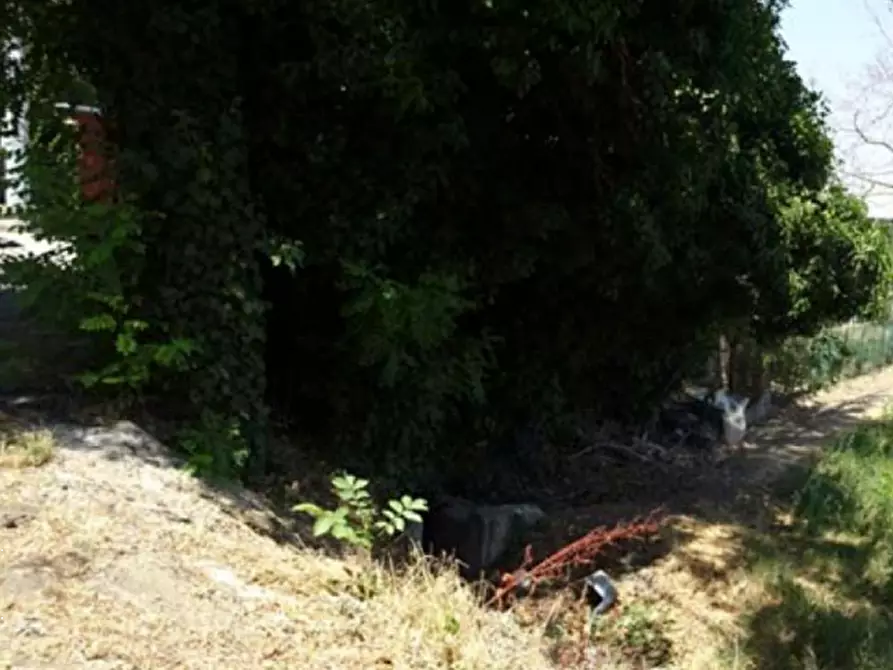Immagine 2 di Terreno agricolo in vendita  in Via Canaletta a Casalgrande