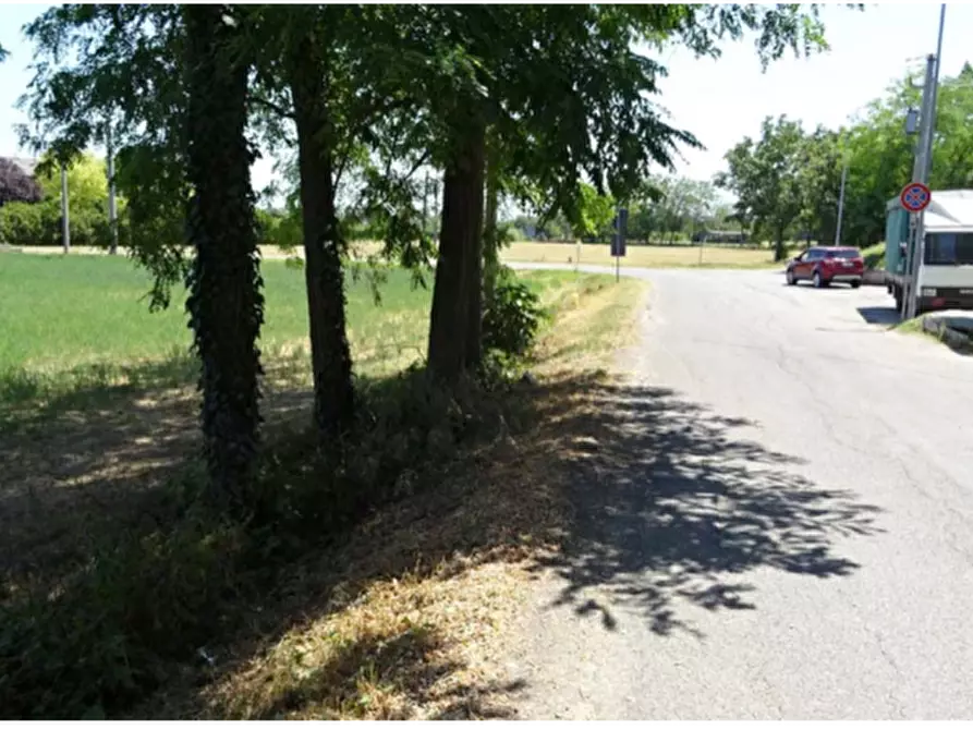 Immagine 3 di Terreno agricolo in vendita  in Via Canaletta a Casalgrande