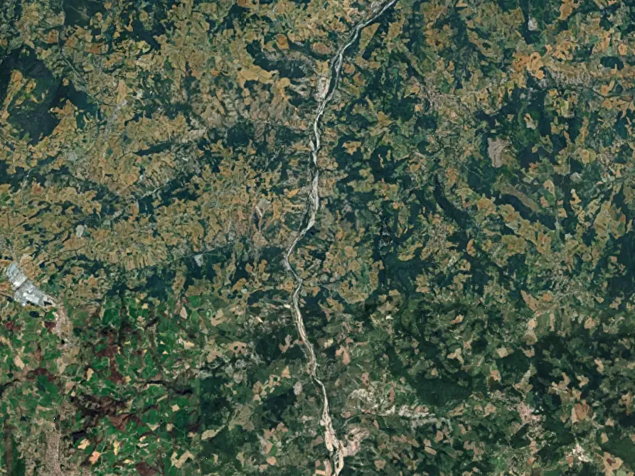 Immagine 3 di Terreno agricolo in vendita  in Via Rio Ghiaia a Guiglia