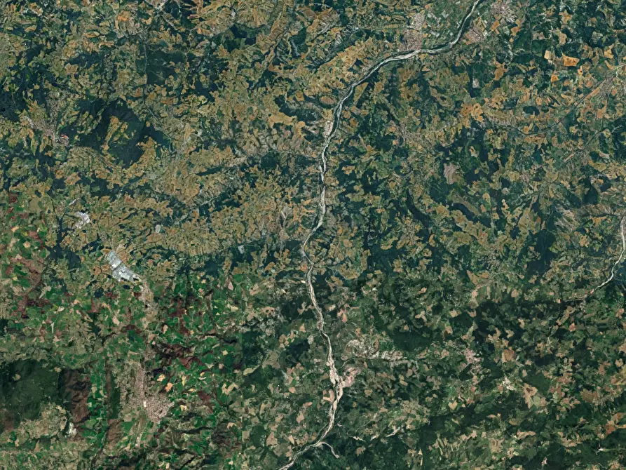 Immagine 4 di Terreno agricolo in vendita  in Via Rio Ghiaia a Guiglia