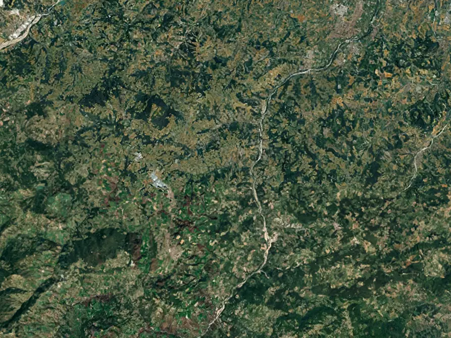 Immagine 5 di Terreno agricolo in vendita  in Via Rio Ghiaia a Guiglia