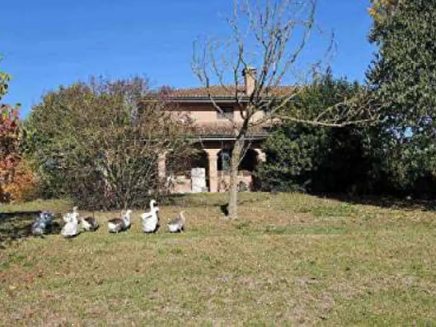 Immagine 6 di Casa indipendente in vendita  in Via dell'Olmone a San Felice Sul Panaro