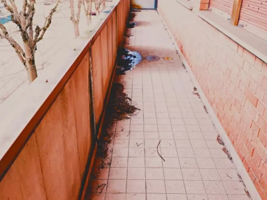 Immagine 2 di Capannone industriale in vendita  in Via Ulisse Aldrovandi a Modena