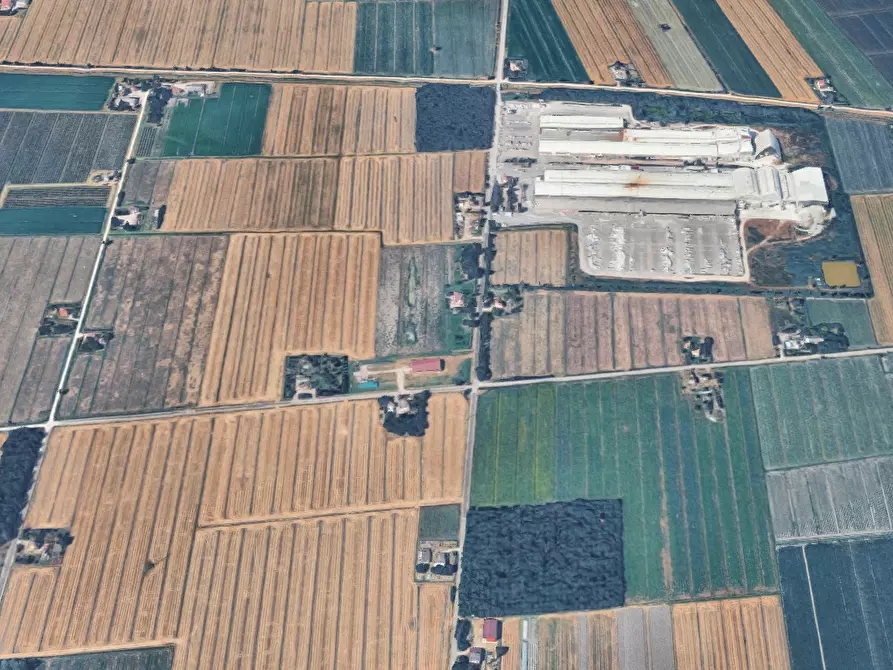 Immagine 6 di Casa indipendente in vendita  in Via Ponte Bianco a Camposanto