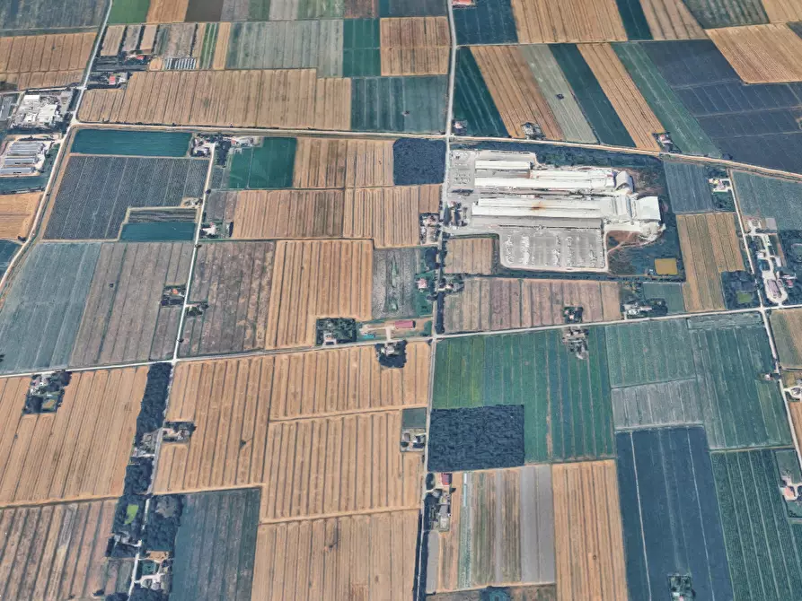 Immagine 8 di Casa indipendente in vendita  in Via Ponte Bianco a Camposanto