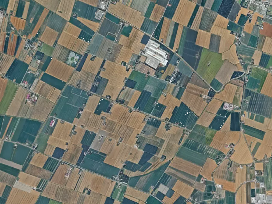 Immagine 4 di Terreno edificabile in vendita  in Via Ponte Bianco a Camposanto