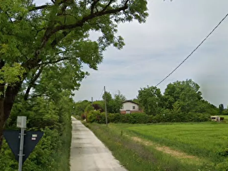 Immagine 7 di Terreno edificabile in vendita  in Via Ponte Bianco a Camposanto