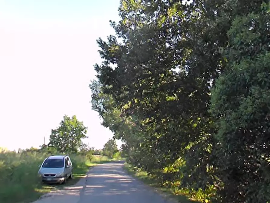 Immagine 2 di Porzione di casa in vendita  in Via Gazzoli a Novi Di Modena