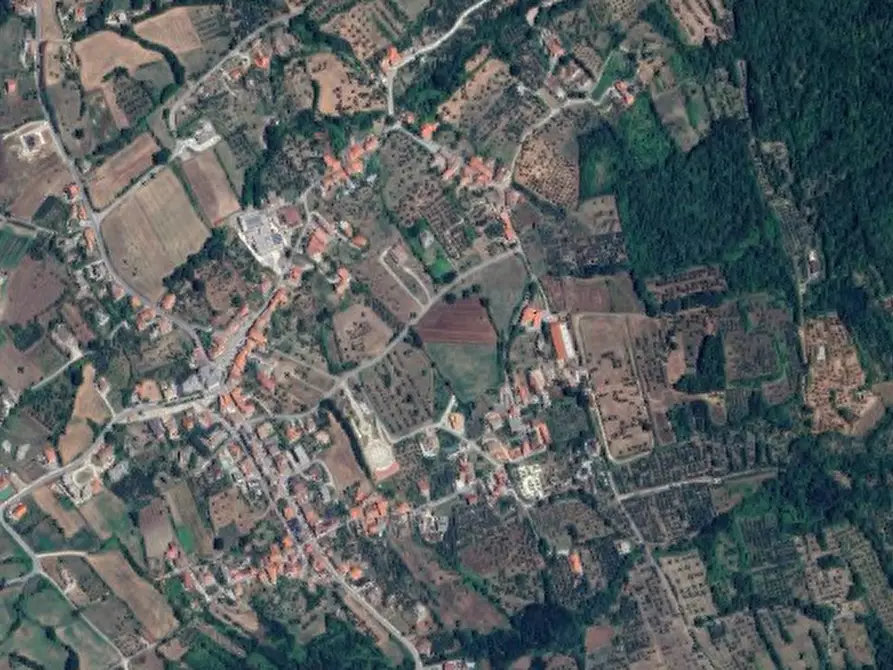 Immagine 6 di Terreno agricolo in vendita  in Località Querceto a Gioia Sannitica