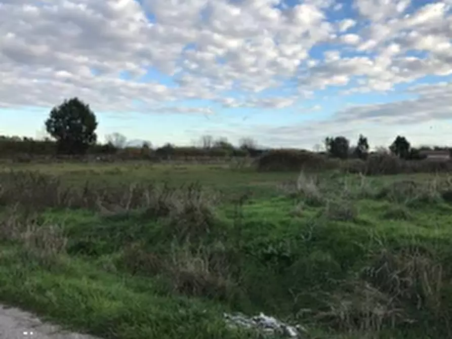 Immagine 2 di Terreno agricolo in vendita  in Località Villa Literno a Villa Literno