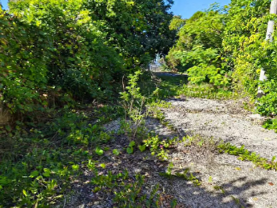 Immagine 7 di Casa indipendente in vendita  in Via Scafa a Alife