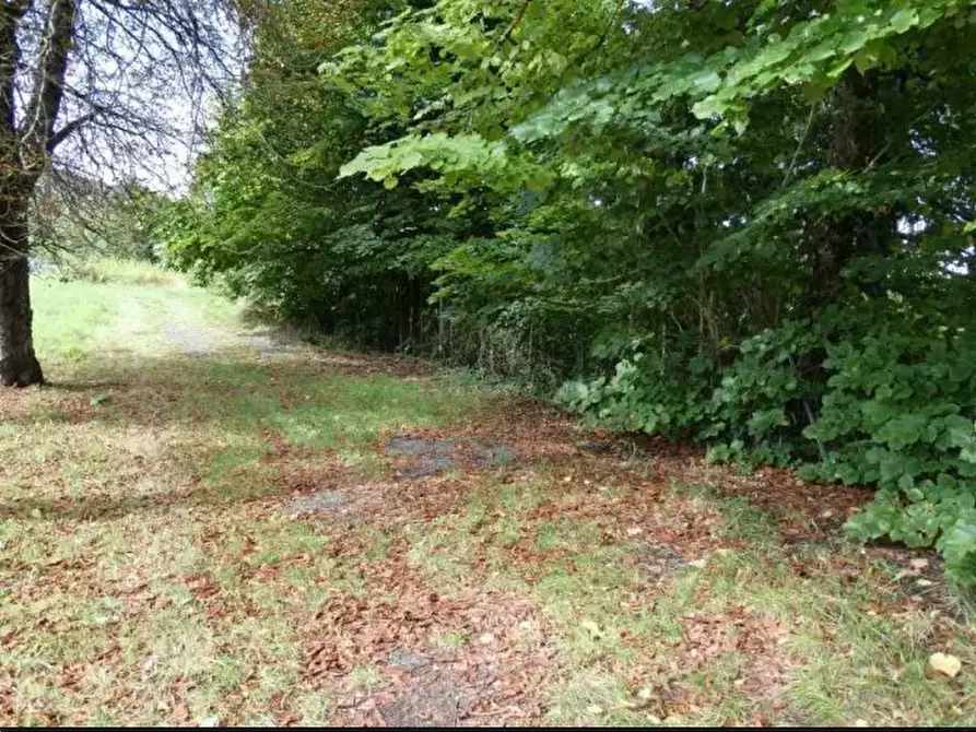 Immagine 3 di Stabile in vendita  in Loc. Il Poggio Strada Statale della Cisa a Berceto