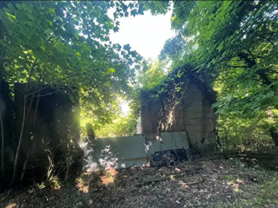 Immagine 20 di Stabile in vendita  in Loc. Il Poggio Strada Statale della Cisa a Berceto