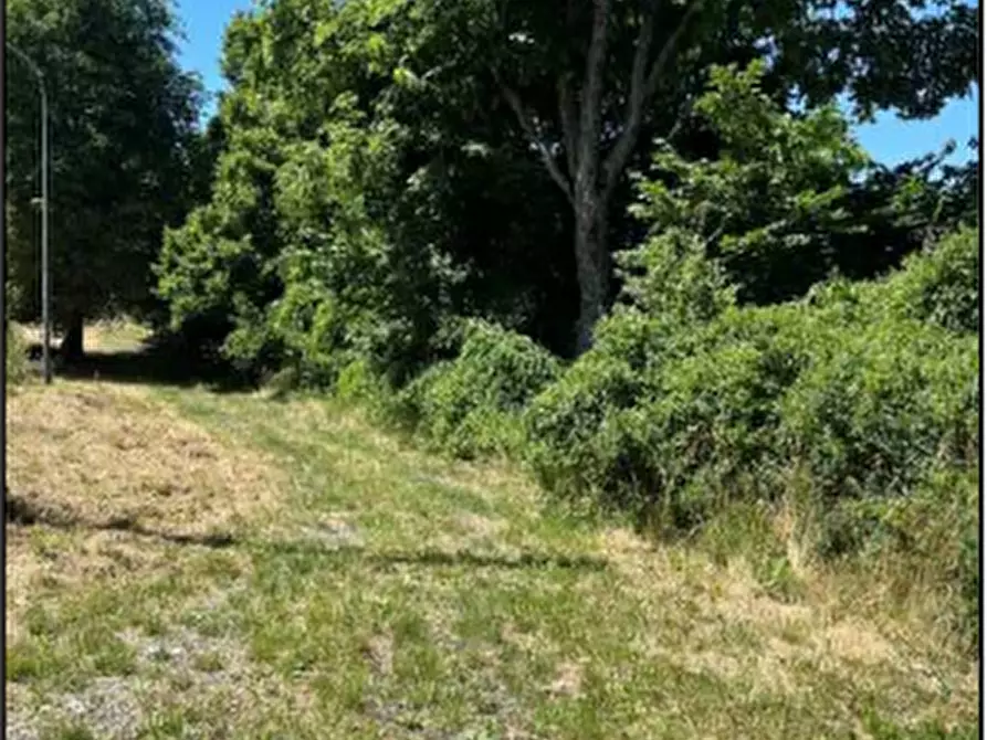 Immagine 22 di Stabile in vendita  in Loc. Il Poggio Strada Statale della Cisa a Berceto