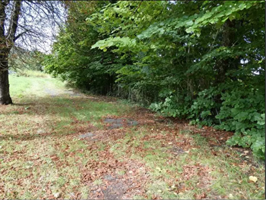 Immagine 23 di Stabile in vendita  in Loc. Il Poggio Strada Statale della Cisa a Berceto