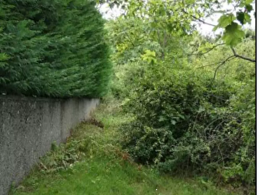 Immagine 26 di Stabile in vendita  in Loc. Il Poggio Strada Statale della Cisa a Berceto