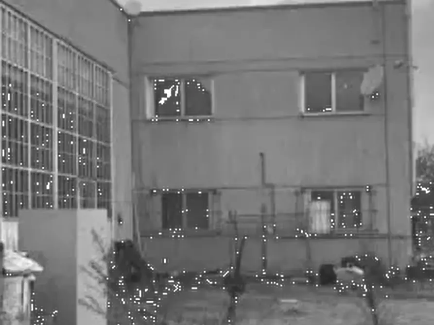 Immagine 3 di Capannone industriale in vendita  in Via Martin Luther King a Forli'