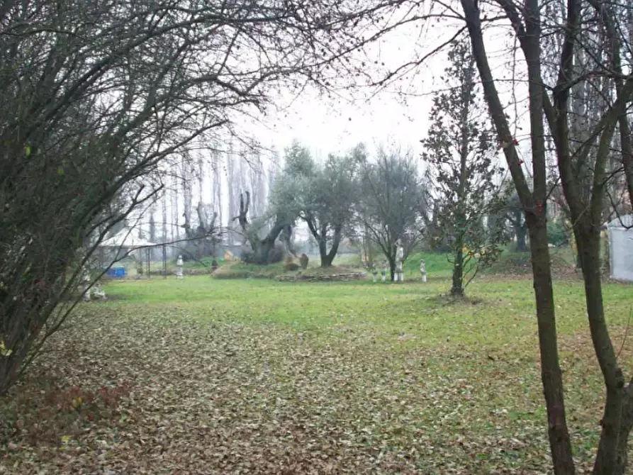 Immagine 14 di Stabile in vendita  in Via Pigno a Bagnara Di Romagna