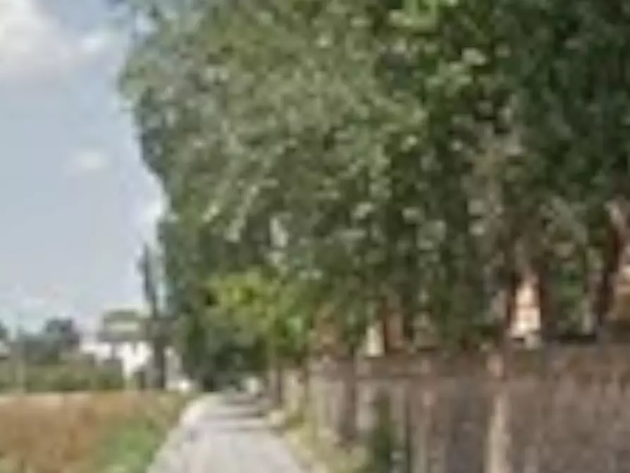 Immagine 25 di Stabile in vendita  in Via Pigno a Bagnara Di Romagna