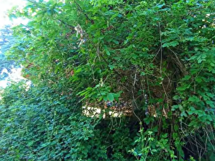 Immagine 1 di Stabile in vendita  in Via Aronne Moroni a Besozzo