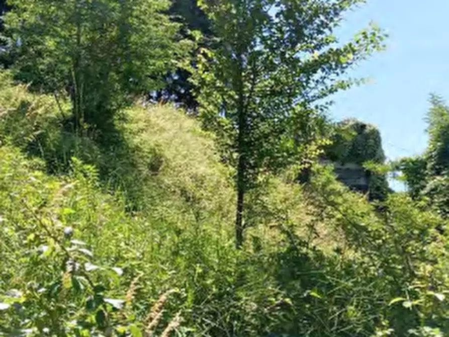 Immagine 2 di Stabile in vendita  in Via Aronne Moroni a Besozzo