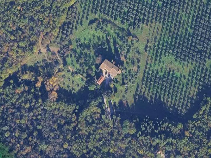 terreno agricolo in vendita a Scandicci