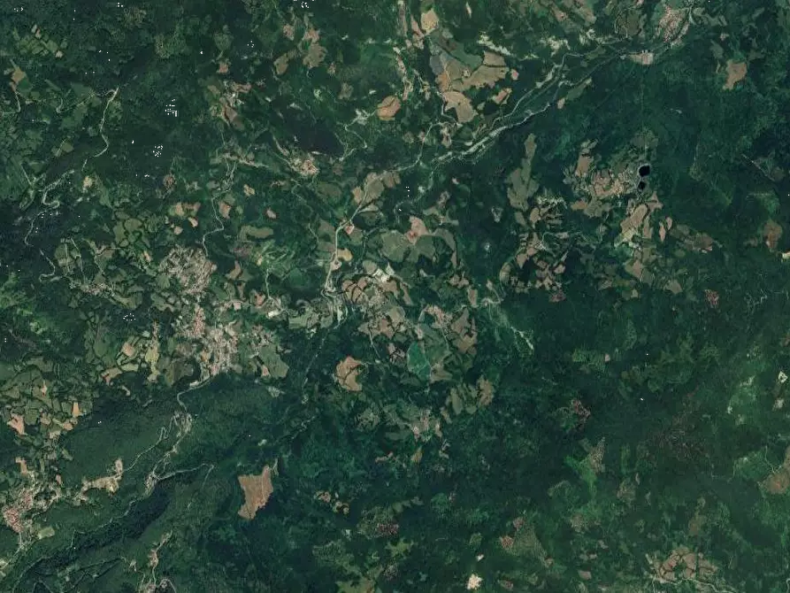 Immagine 18 di Stabile in vendita  in loc. Ponte di Lugagnano strada Vecciatica a Monchio Delle Corti