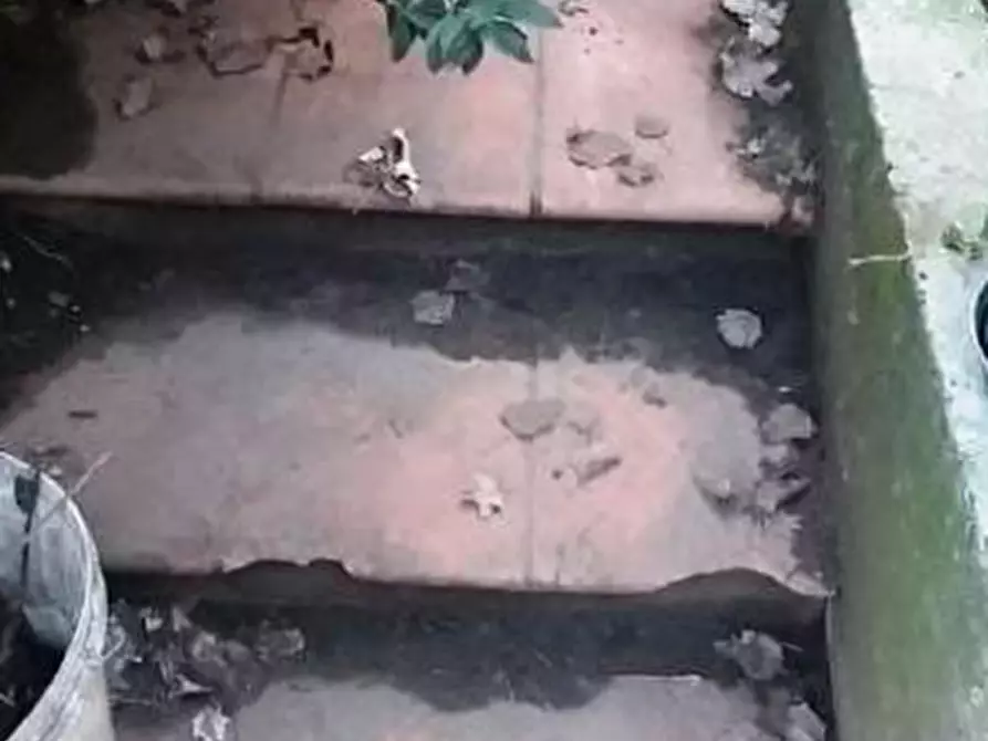 Immagine 4 di Casa indipendente in vendita  in Via Giuseppe Bovini a Ravenna