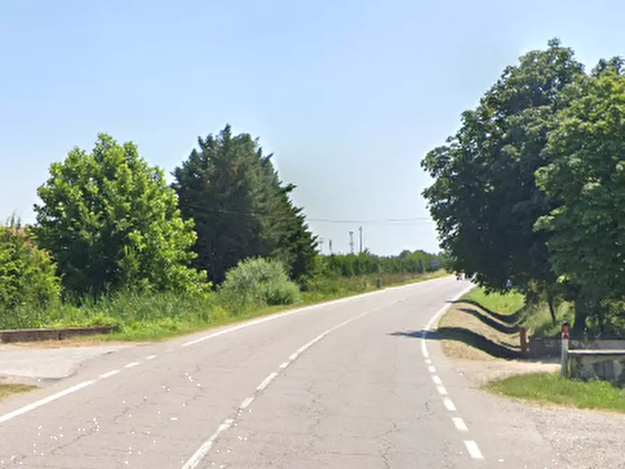 Immagine 30 di Stabile in vendita  in Strada Francesca est a Rodigo