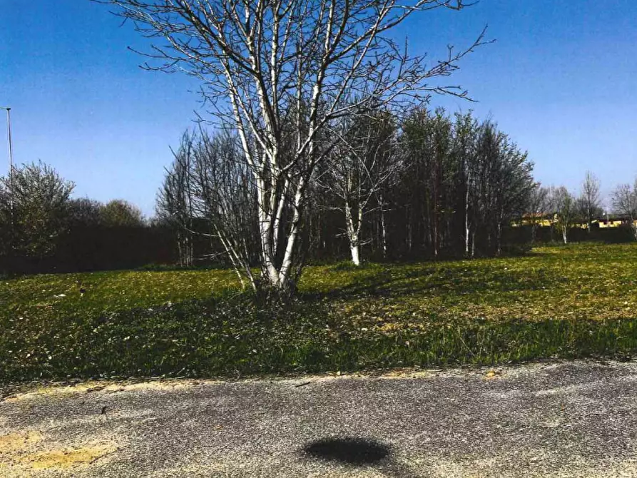 Immagine 4 di Terreno edificabile in vendita  in Via dell'Artigianato a Castel D'ario