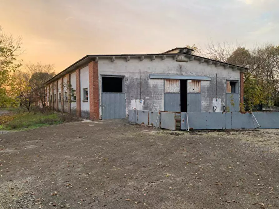 Immagine 1 di Casa bifamiliare in vendita  in Via Leopoldo Pilla a Curtatone