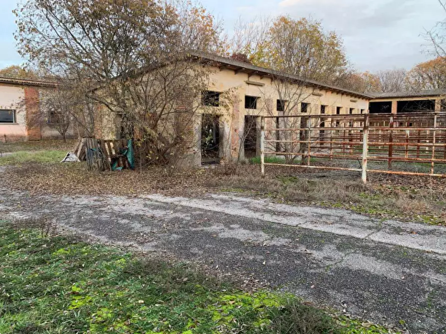 Immagine 10 di Casa bifamiliare in vendita  in Via Leopoldo Pilla a Curtatone