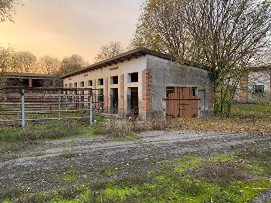 Immagine 11 di Casa bifamiliare in vendita  in Via Leopoldo Pilla a Curtatone