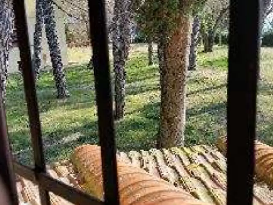 Immagine 5 di Appartamento in vendita  in Via Tavolese a Certaldo