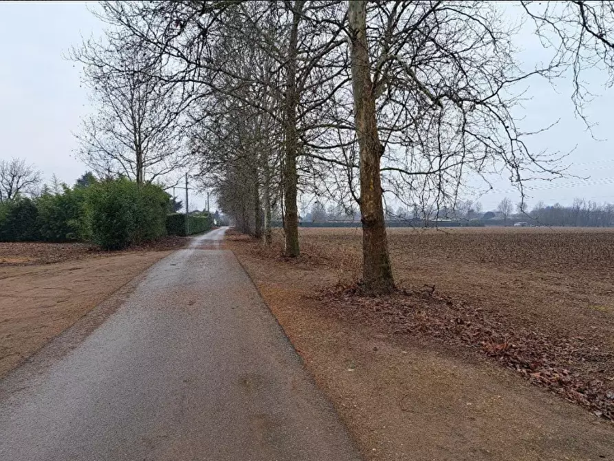 Immagine 2 di Terreno agricolo in vendita  in frazione Borsano a Busto Arsizio