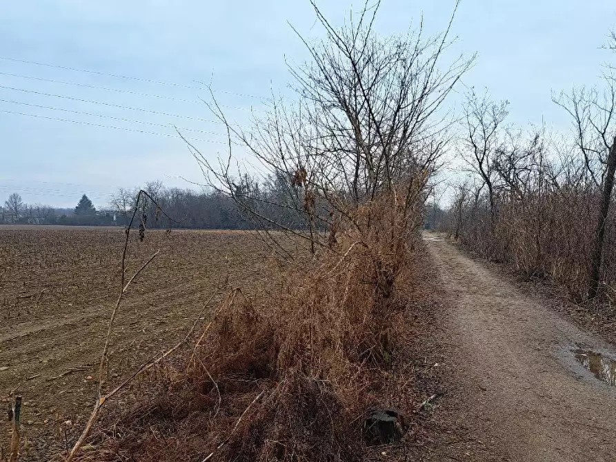 Immagine 3 di Terreno agricolo in vendita  in frazione Borsano a Busto Arsizio